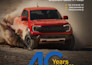 design an amazing poster, flyer or catalog